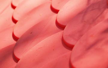 The Gibb plastic roof costs