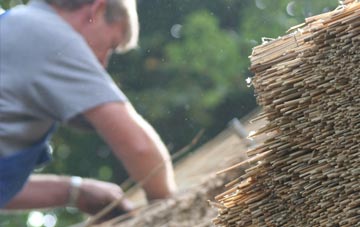 professional The Gibb thatchers